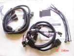 snow plow wiring kit 