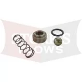 15574 New Meyer Pump Check Valve Kit Ball and Spring E-46 E-47 E-57 E-60 E-61 V-66