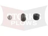 15575 New OEM Meyer Pilot Check Valve Kit (Old Thin Angle Block Only)