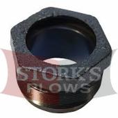 Western Gland Nut