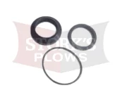 western cyinder seal kit
