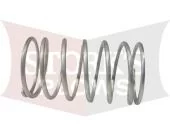 67636 Western / Blizzard Stand Lock Short Spring Foot