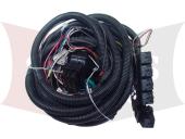 96618 2018-19 Ford F-150 LED Plug In Harness Kit