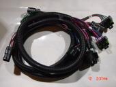 69817 trucks side wiring harness