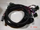 69817 trucks side wiring harness