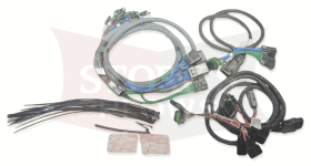 96618 2018-19 Ford F-150 LED Plug In Harness Kit