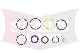 48520 Seal Kit 2" Lift Ram Cylinder  Western Fisher SnowEx