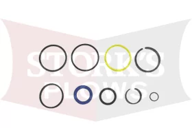 48520 Seal Kit 2" Lift Ram Cylinder  Western Fisher SnowEx