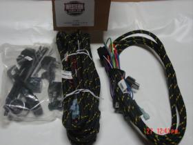 61555 western unimount harness kit