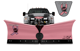 fisher v plow for sale