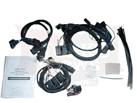 72196 halogen vehicle light wiring harness